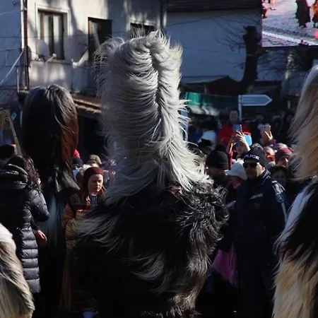 Alpin - 91 2* Bansko