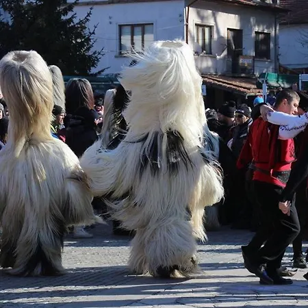 Alpin - 91 2* Bansko