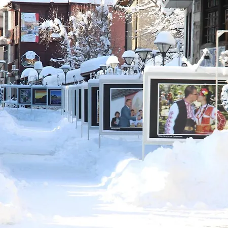 호텔 Alpin - 91 반스코