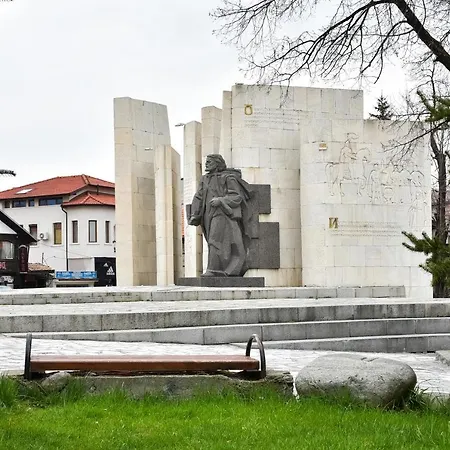 호텔 Alpin - 91 반스코