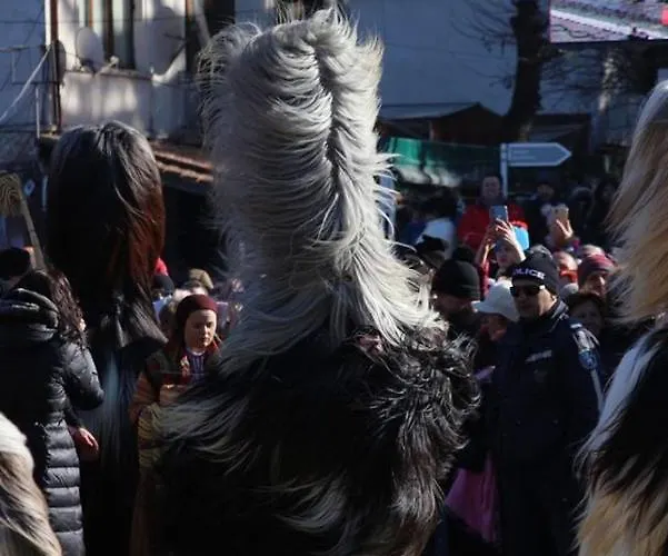 Alpin - 91 2* Banszko