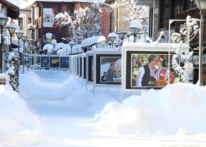Szálloda Alpin - 91 Banszko