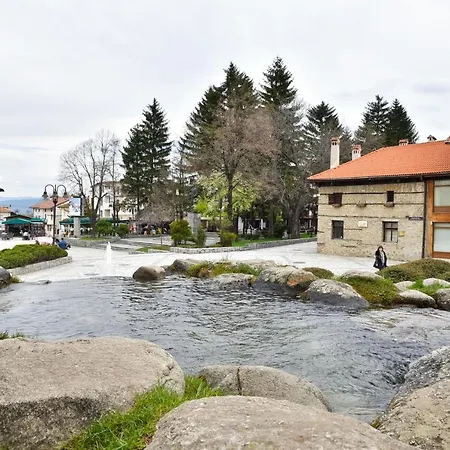 Alpin - 91 Hotel