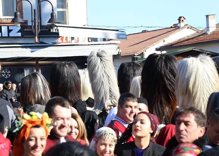 Hotel Alpin - 91 Bansko