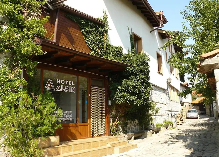 Hotel Alpin - 91 Bansko